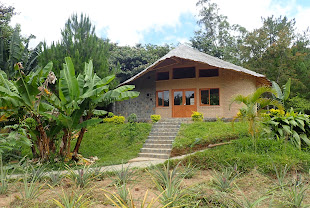 Palmarium Hotel