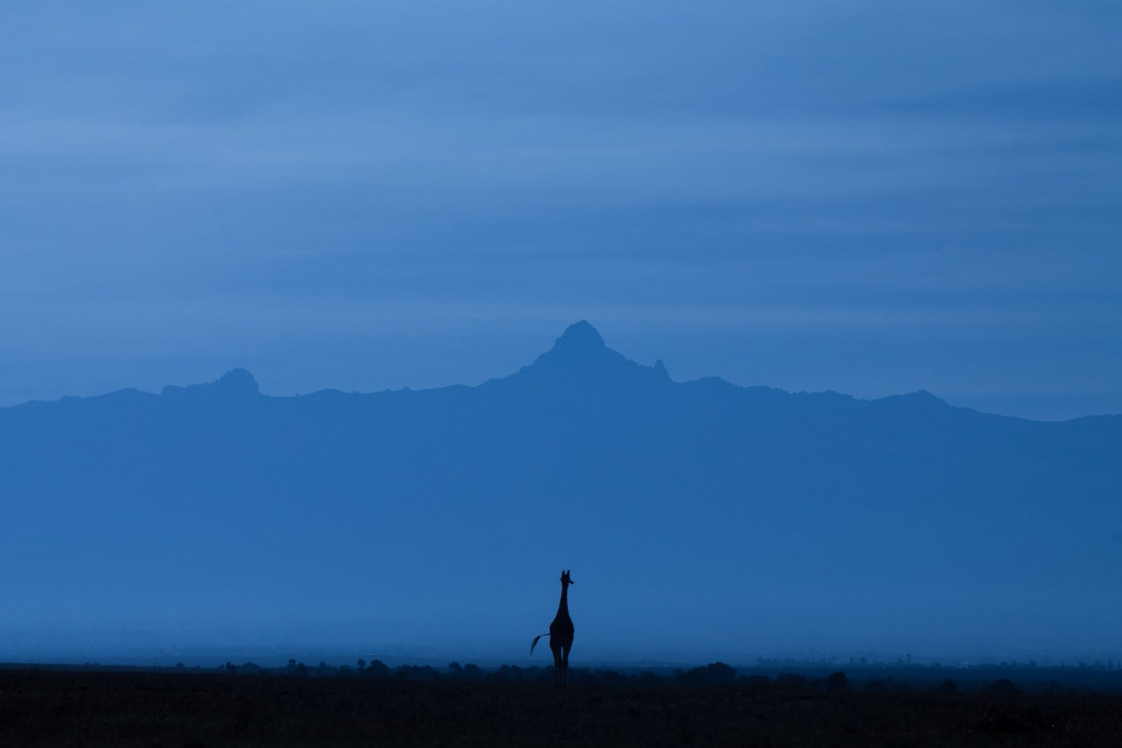 3-Day Safari To Tsavo East National Park From Malindi. gallery image