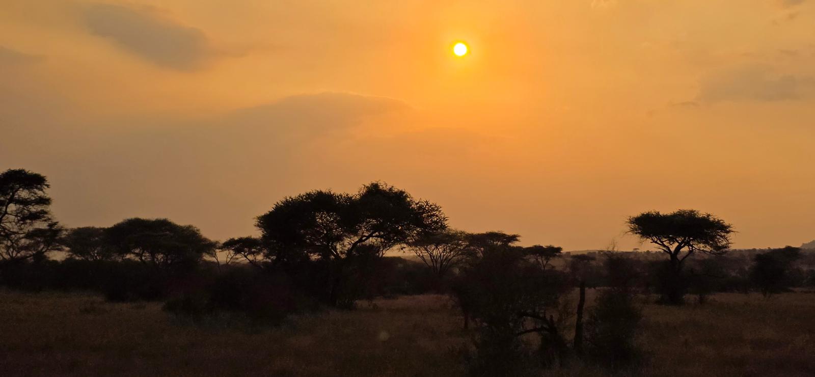 7-Day North Serengeti Great Migration ( July to October): gallery image