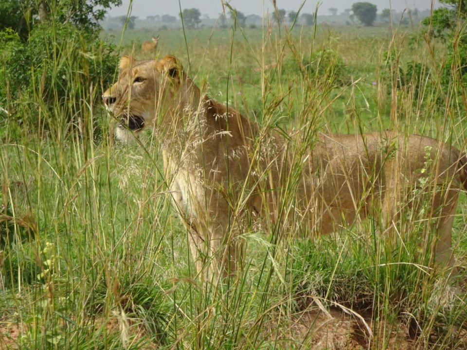 8-Day Selous Game Reserve Safari and Zanzibar Beach Tour gallery image
