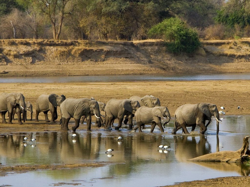 7-Day South Luangwa Luxury Safari gallery image