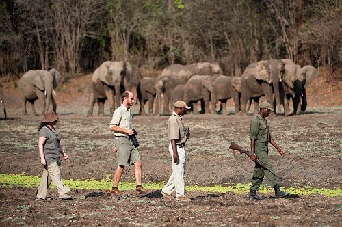 15-Day Ultimate Zambia Overland Safari gallery image