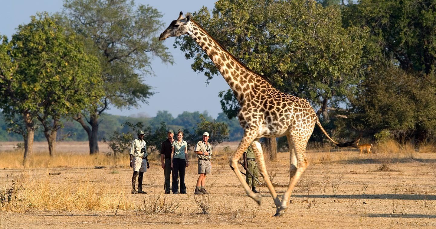 7-Day South Luangwa Luxury Safari
