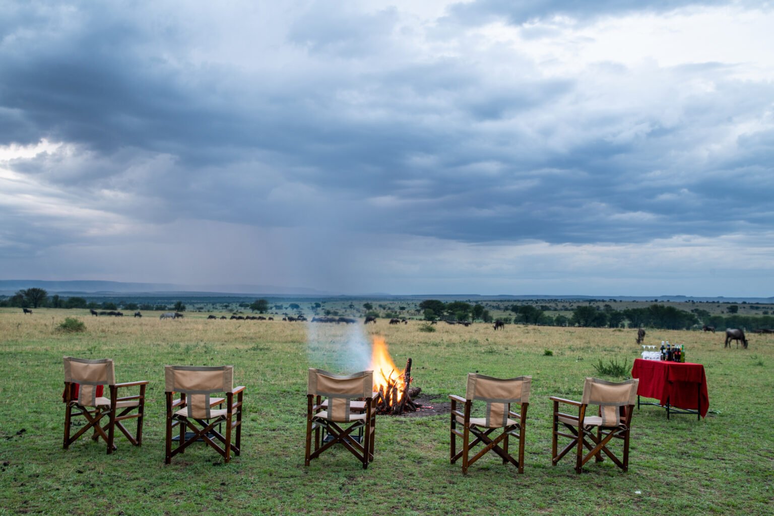 3-Day FLY-In Safari to Serengeti National Park from Arusha gallery image
