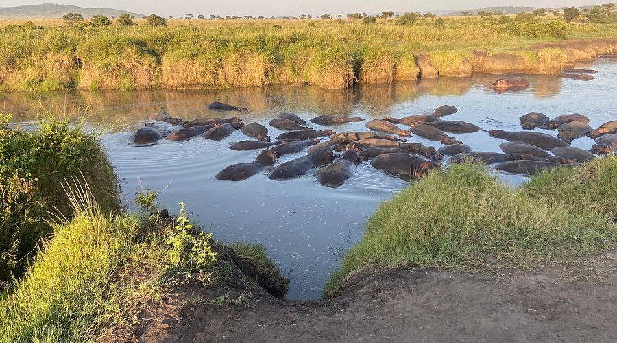 4-Day Classic Tanzania Wildlife Safari. gallery image