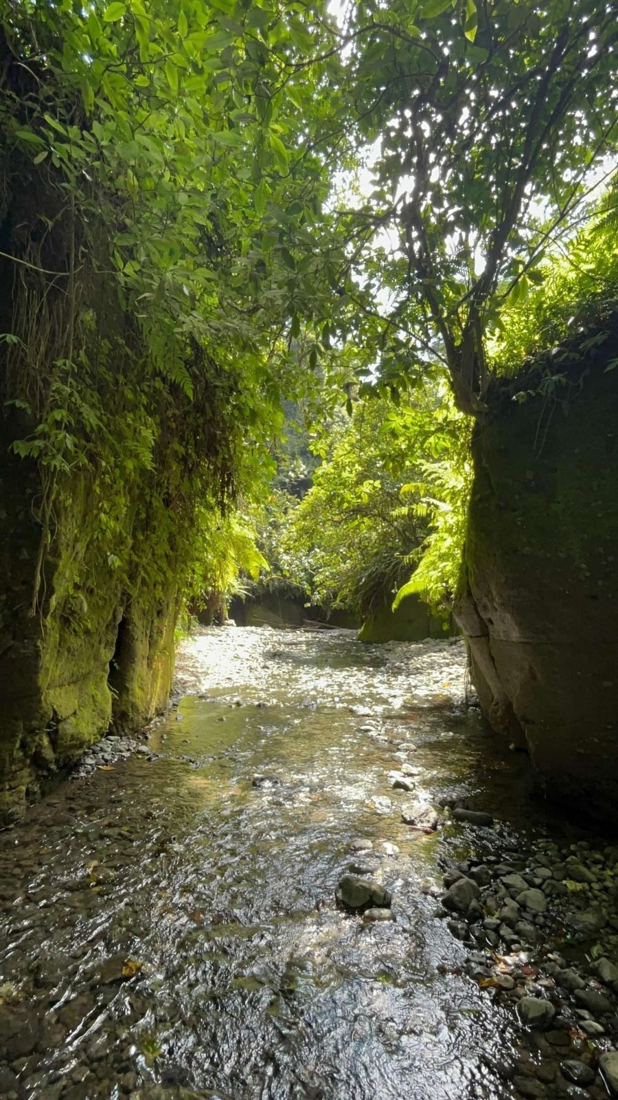 1-Day Napuru Waterfalls Tour gallery image
