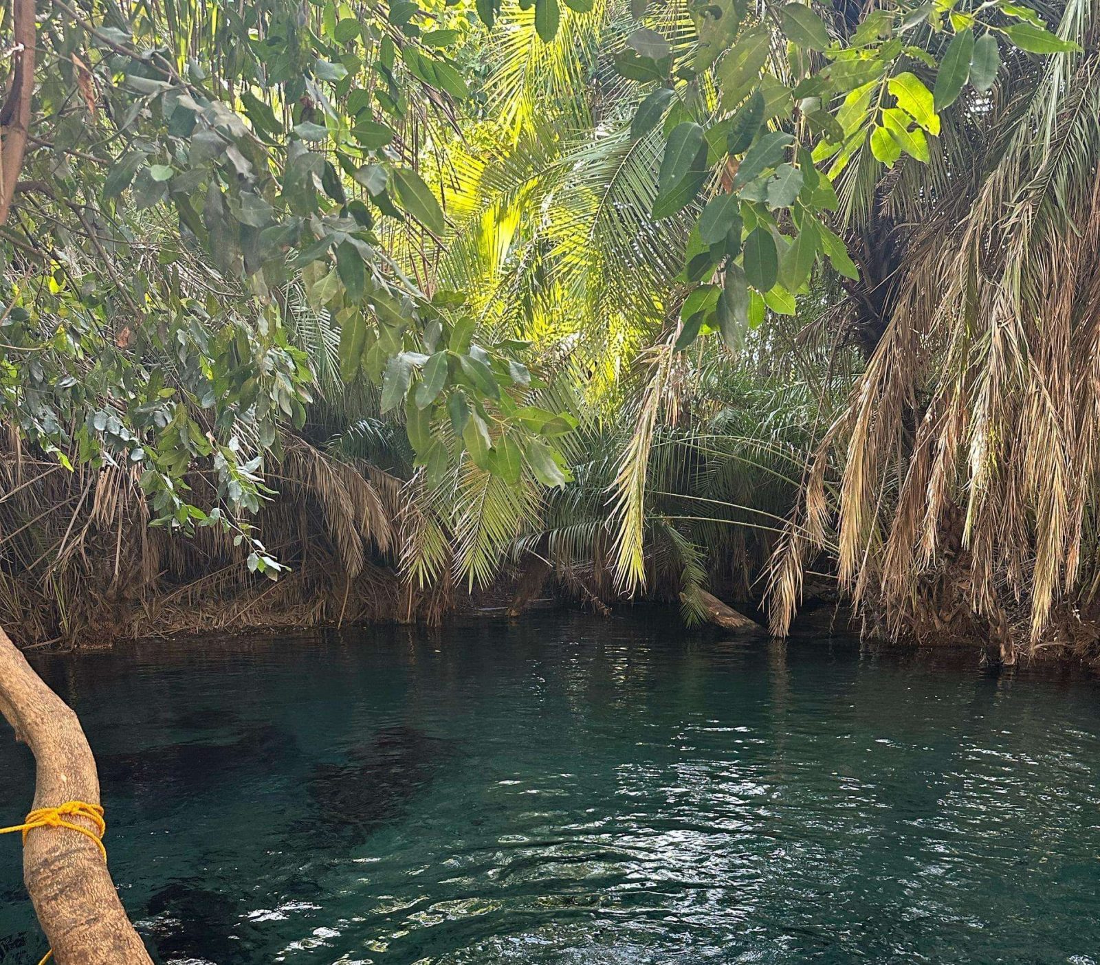 1-Day Kikuletwa Hot Springs gallery image