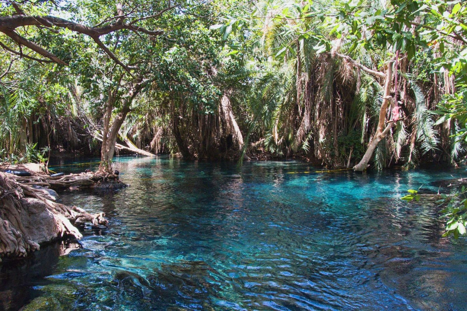 1-Day Kikuletwa Hot Springs gallery image