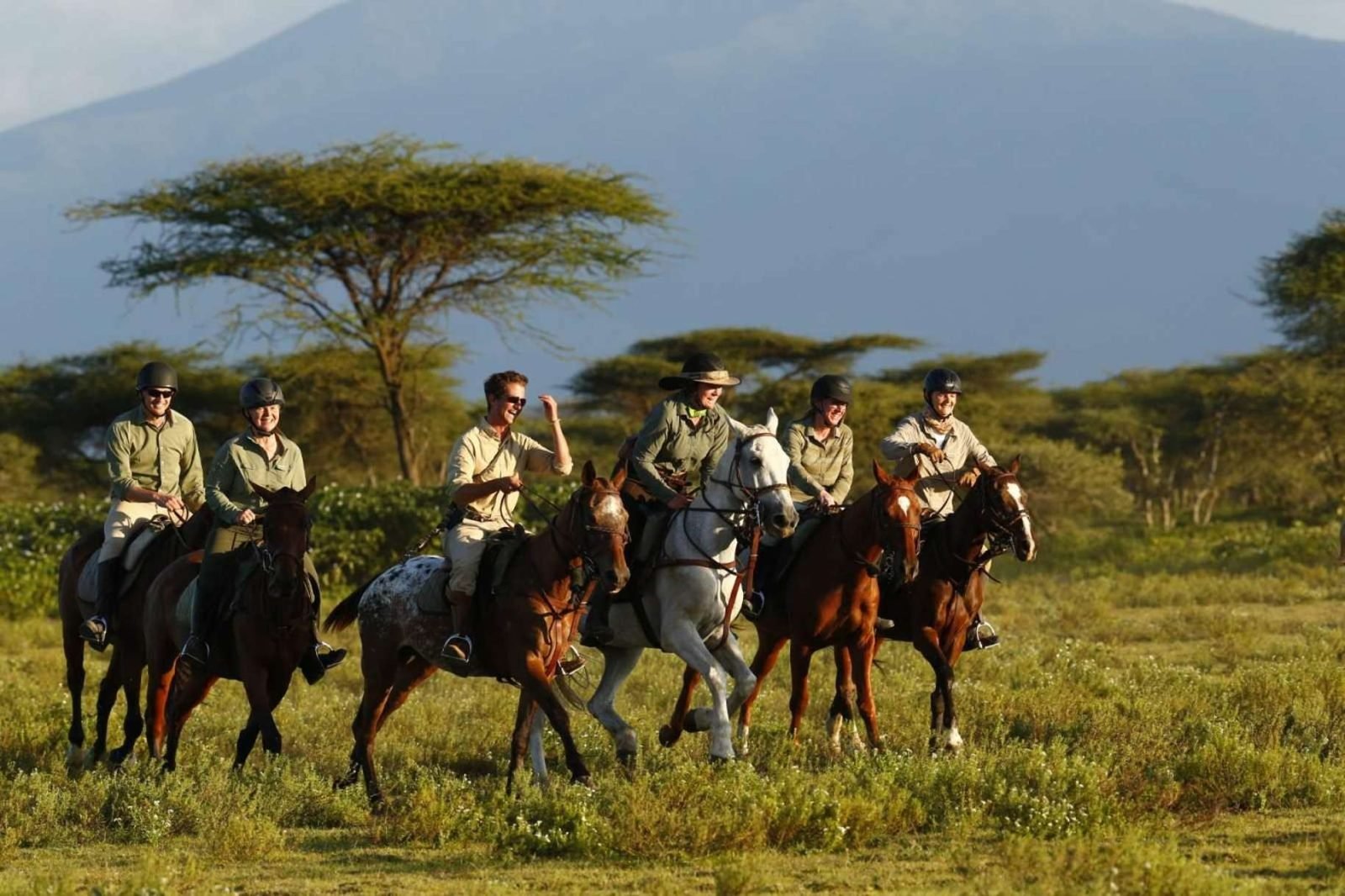 1-Day Arusha Horseback Riding