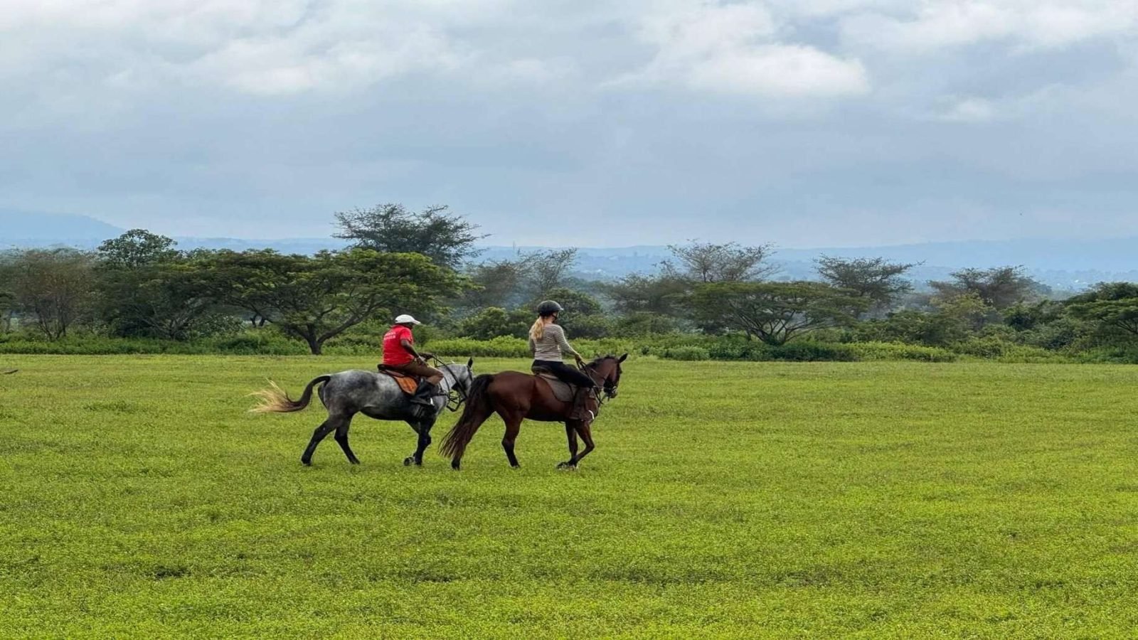 1-Day Arusha Horseback Riding gallery image