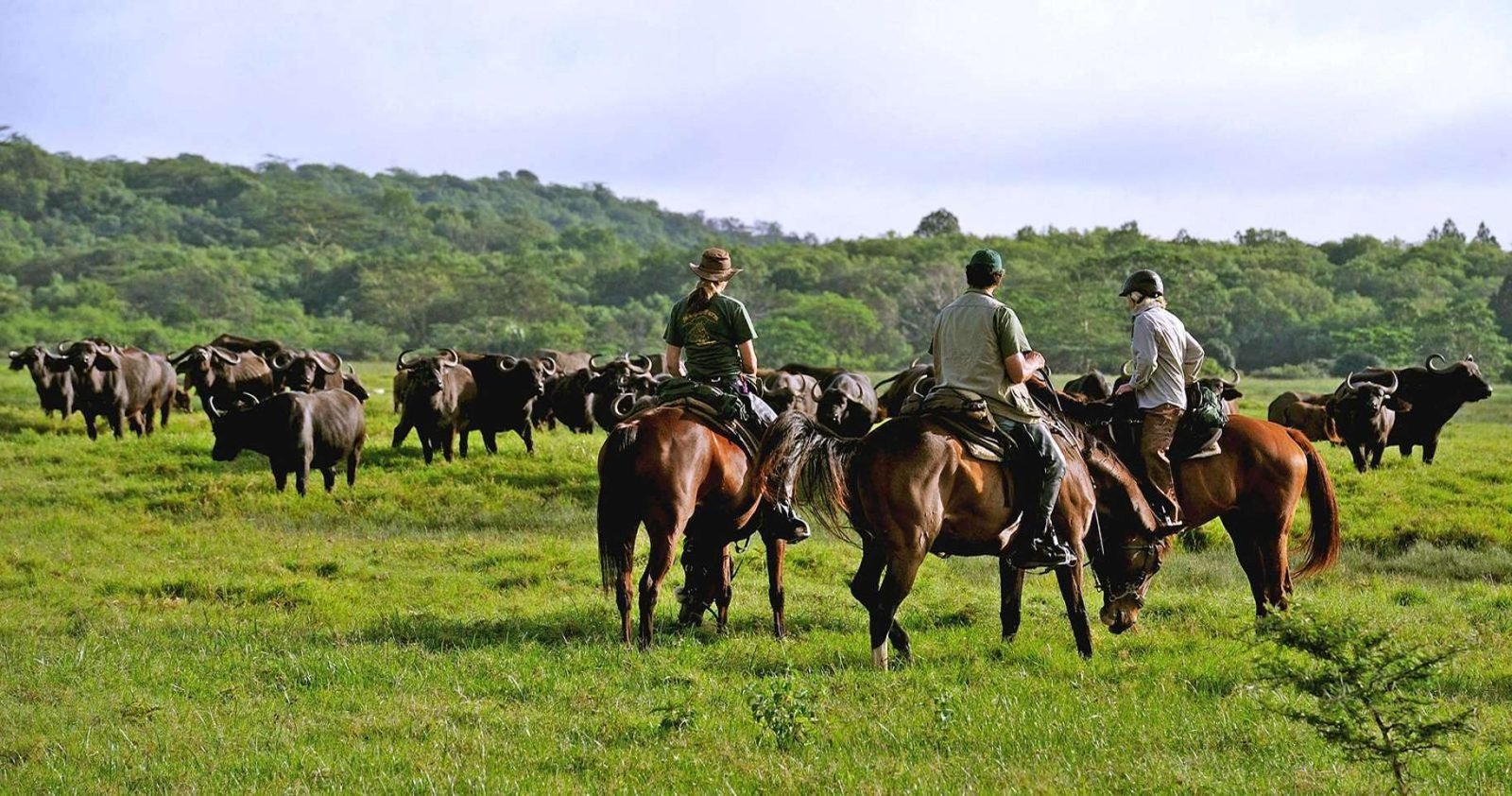 1-Day Arusha Horseback Riding gallery image