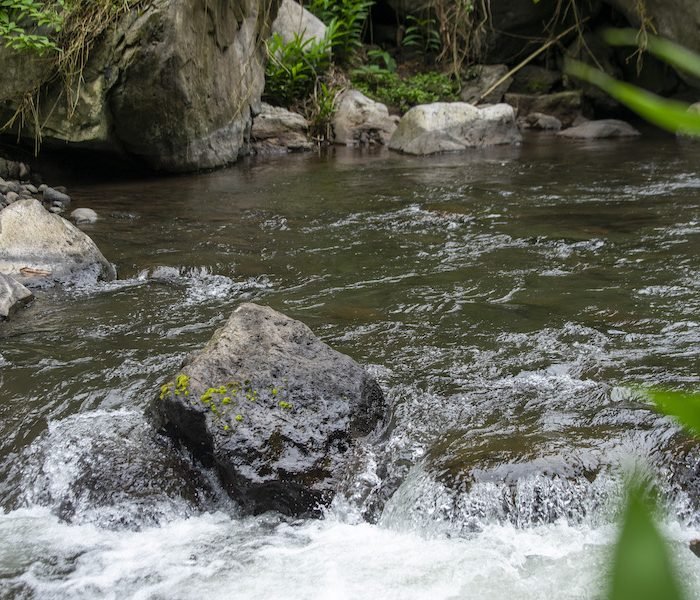 1-Day Marangu Waterfall and Cultural Experience gallery image