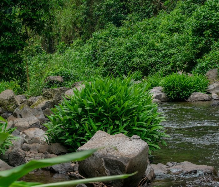 1-Day Marangu Waterfall and Cultural Experience gallery image