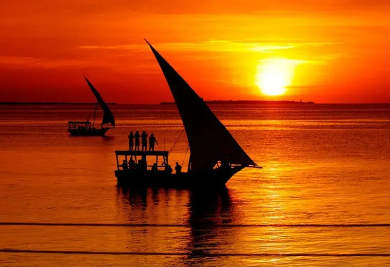 7-Day Selous Game Reserve and Zanzibar Experience