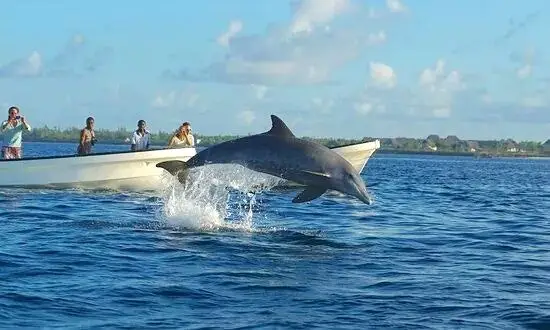 7-Day Selous Game Reserve and Zanzibar Experience gallery image