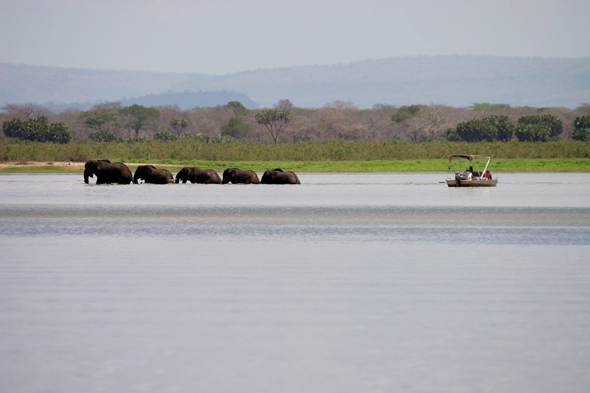 9-Day Southern Circuit Safari and Zanzibar Beach Experience