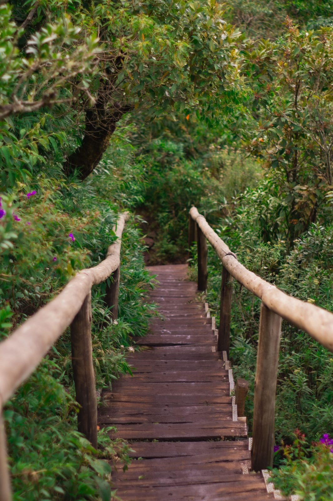 7-Day Honeymooners Trek Kilimanjaro Via Marangu Route gallery image