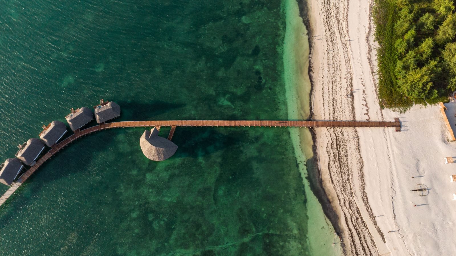 5-Day Luxury Private Flight: Serengeti to Zanzibar –Exclusive gallery image