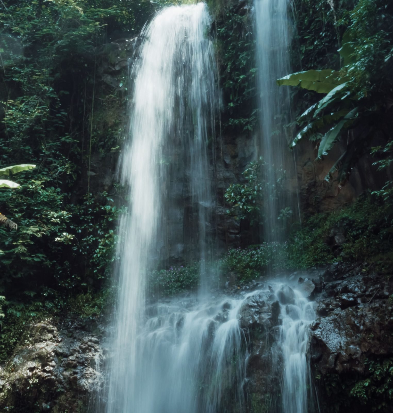 1-Day Materuni Waterfall Day Trip gallery image