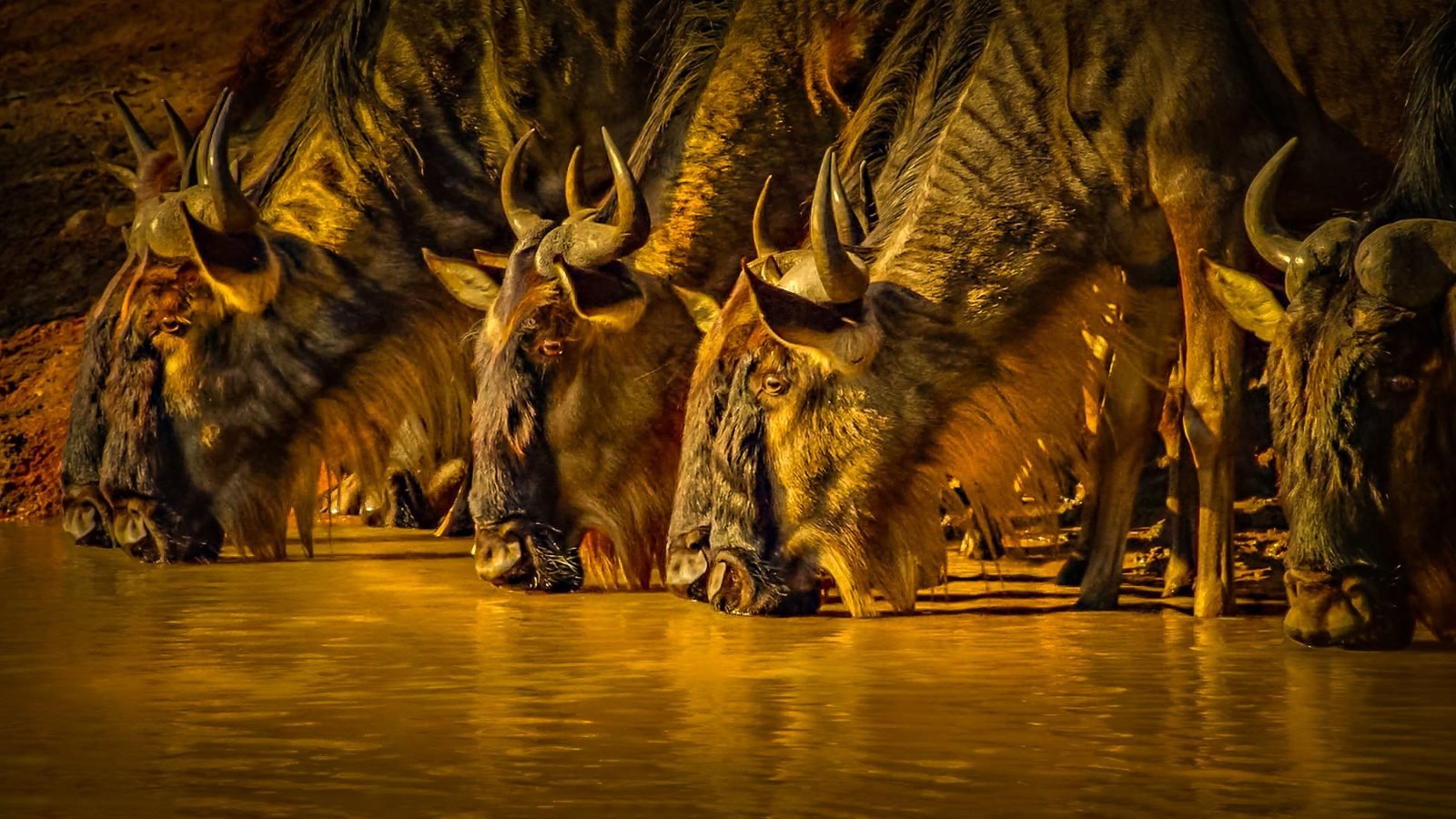 7-Day From Baobabs to the Big5-Great Migration Family Safari gallery image