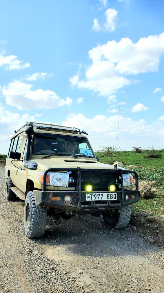3-Day Serengeti Wildlife Safari safari tour
