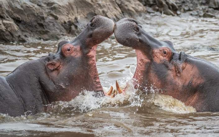 5-Day Tanzania Flexible Safari Adventure gallery image