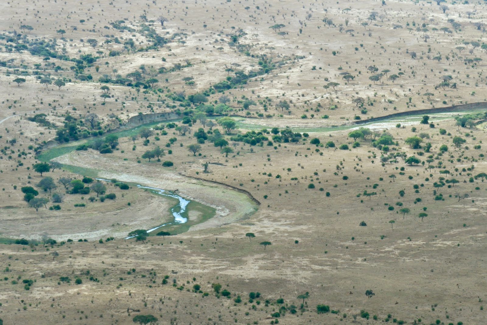 2-Day Tarangire & Ngorongoro Crater Joining Safar-Camping gallery image
