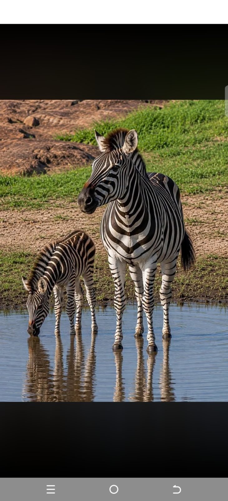 3-Day Tsavo East Safari Experience gallery image