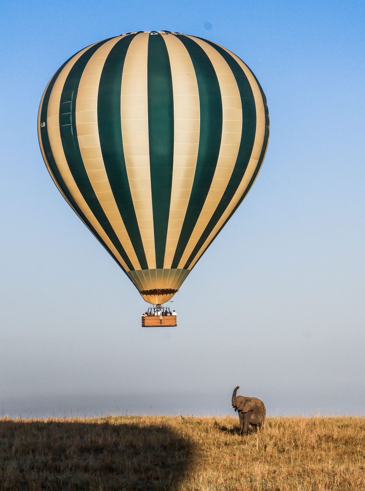 5-Day Romantic Safari & Balloon Experience for Honeymooners gallery image