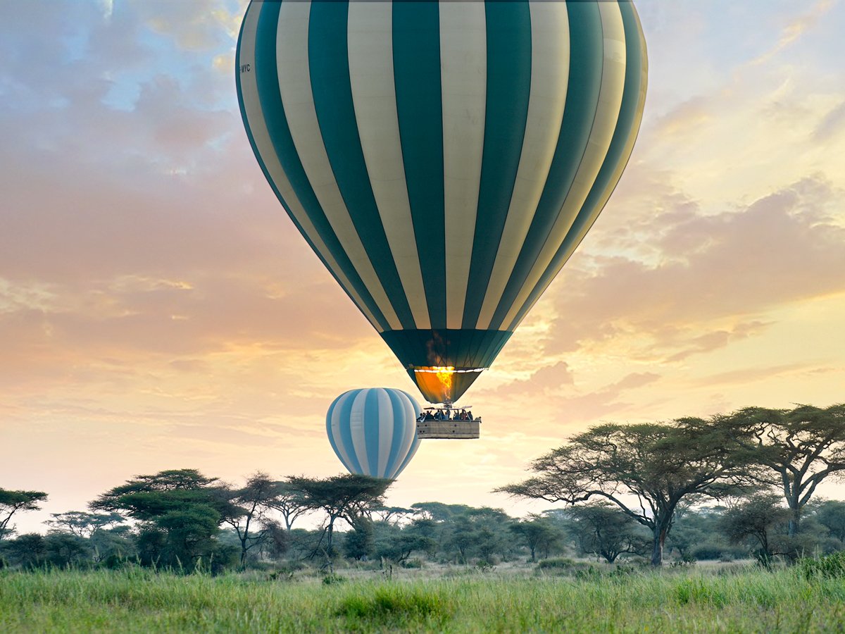 6-Day Luxury Serengeti and Ngorongoro Safari (FLY-In) gallery image