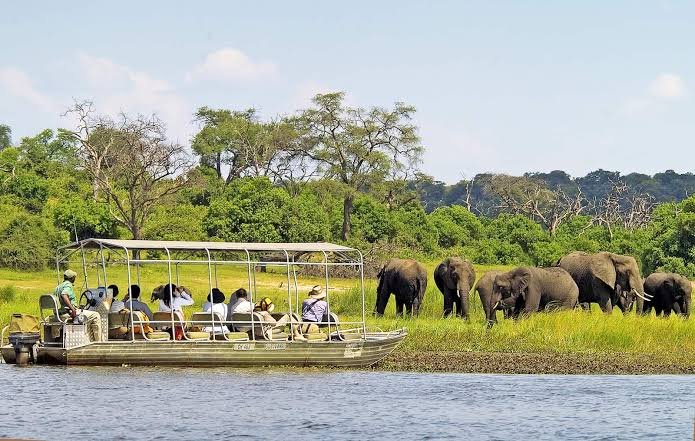 1-Day Chobe Day Full Day Safari gallery image