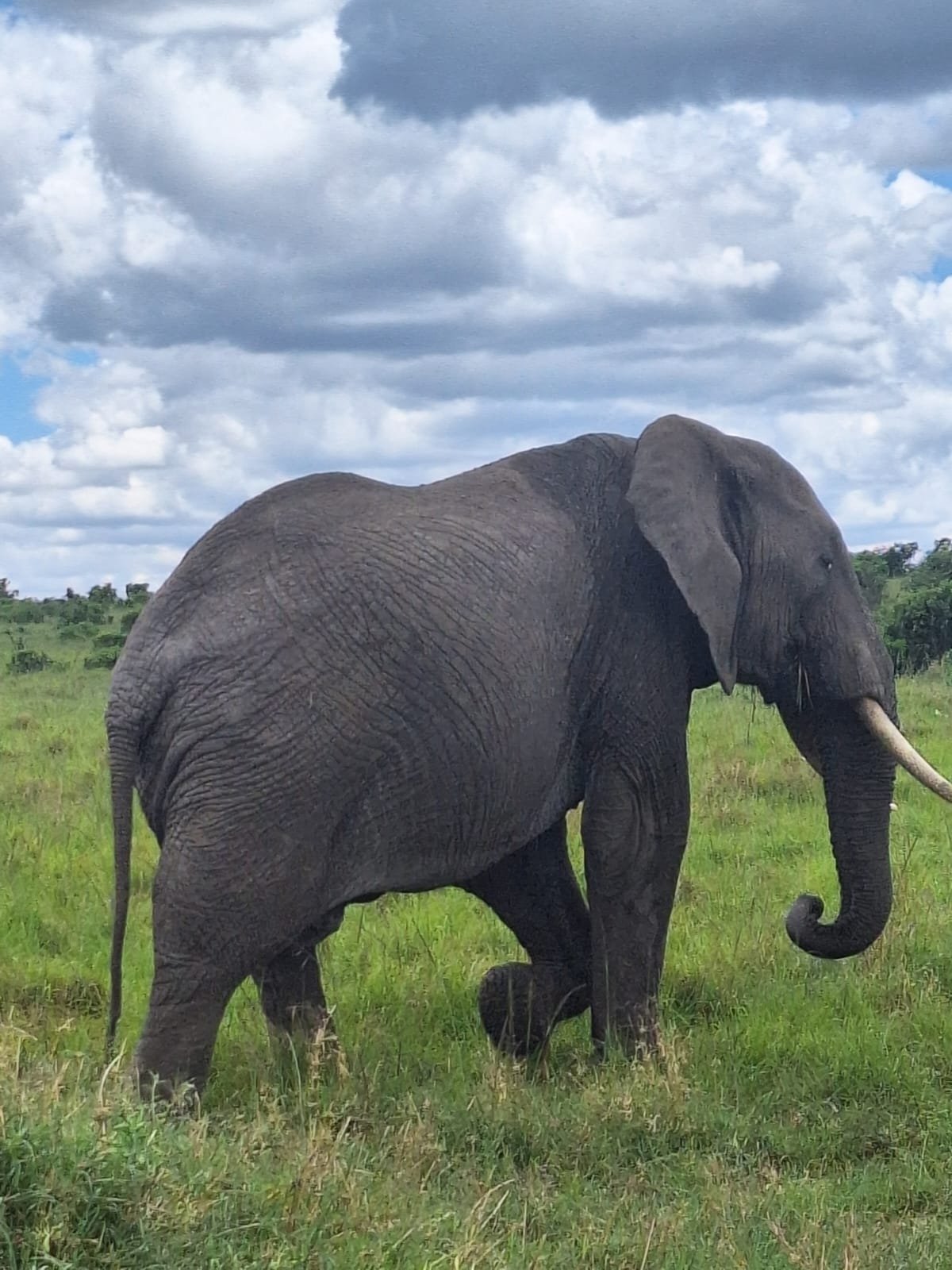 3-Day Maasai Mara Mid Range Safari gallery image