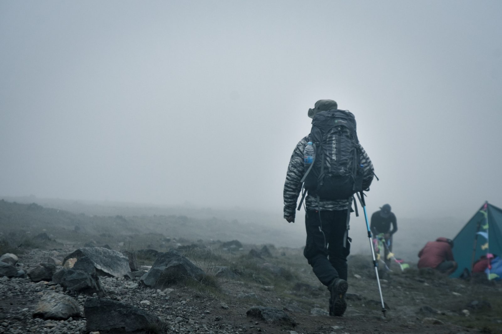 8-Day Kilimanjaro Trek Via Lemosho Route
