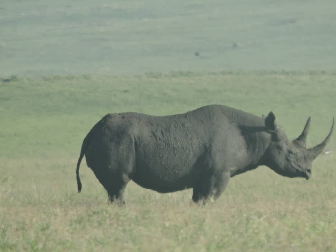 9-Day Serengeti, Ngorongoro & Balloon Safari Tanzania gallery image