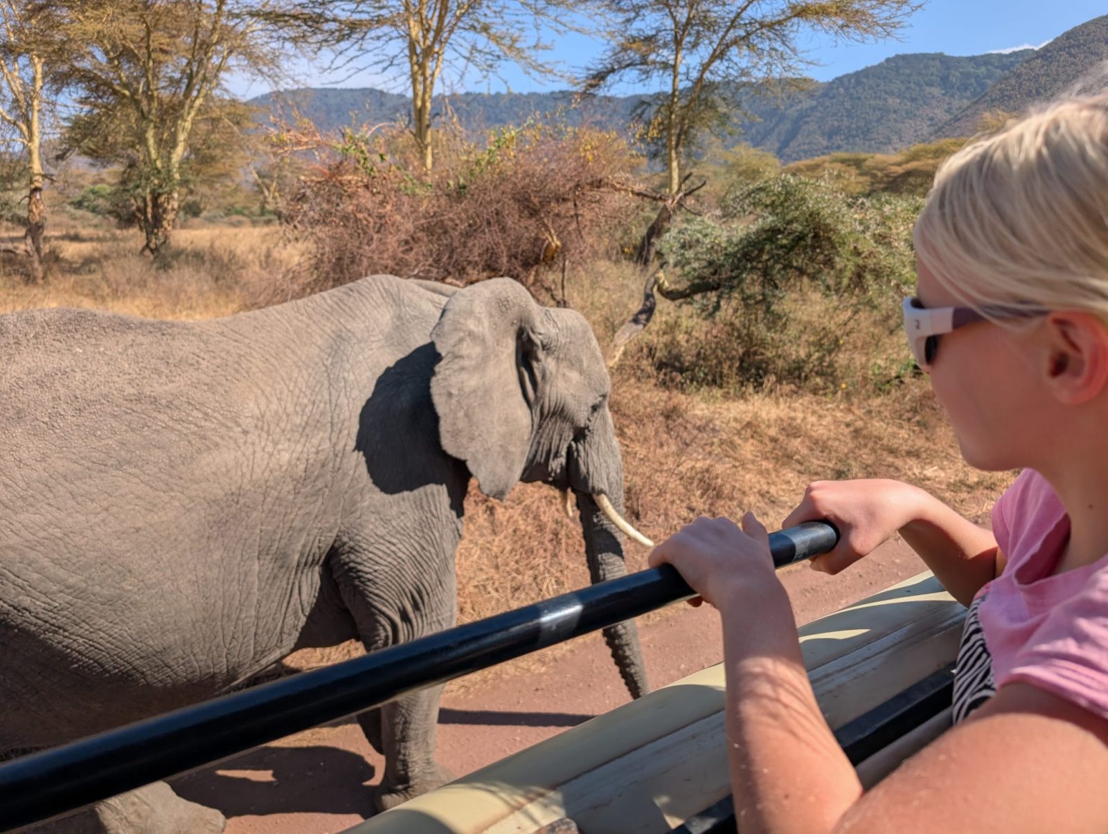 3-Day Tarangire & Ngorongoro Safari from Zanzibar