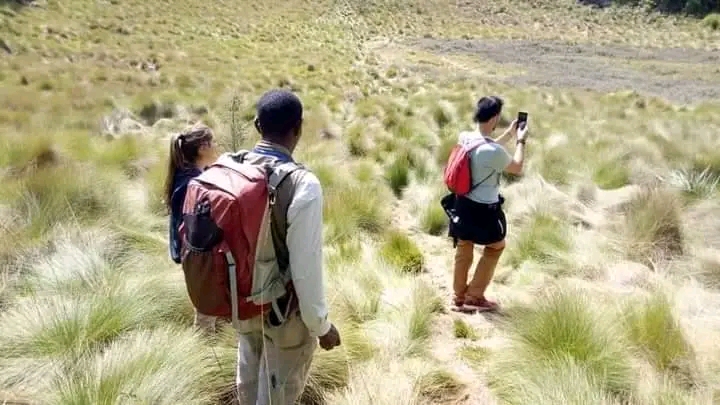 1-Day Trip to Mount Kilimanjaro Via Marangu Gate to Manda gallery image