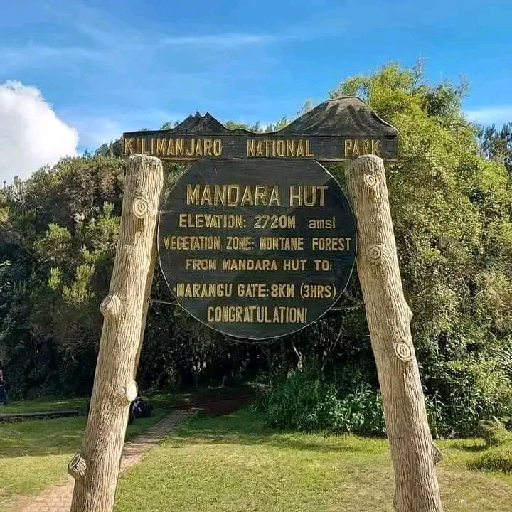 1-Day Trip to Mount Kilimanjaro Via Marangu Gate to Manda gallery image