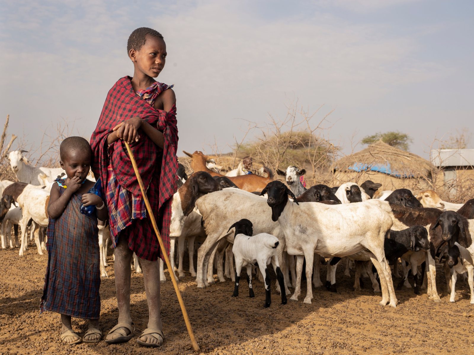1-Day Serval Wildlife & Maasai Boma Cultural Tour – Full-Day