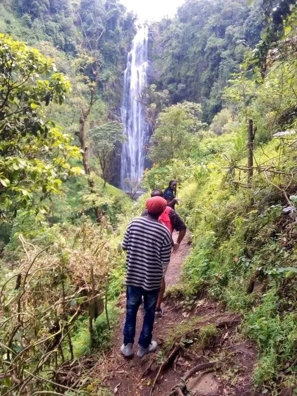 1-Day Materuni Waterfall and Coffee Tour Day Trip safari tour