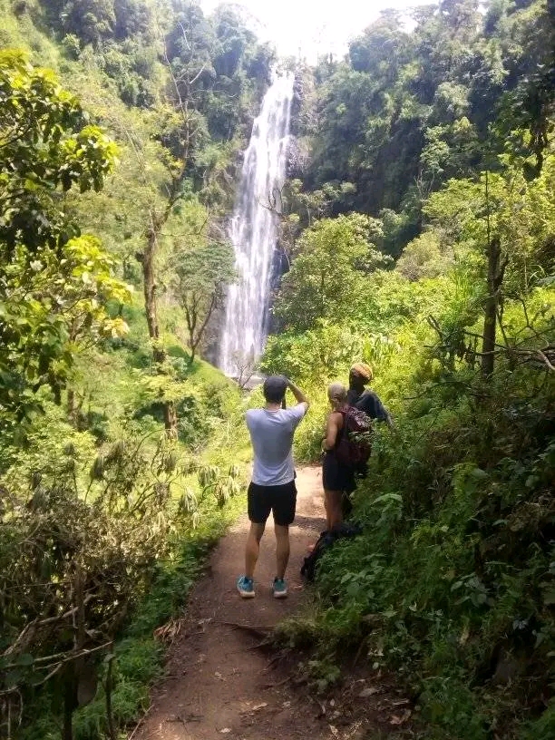1-Day Materuni Waterfall and Coffee Tour Day Trip gallery image