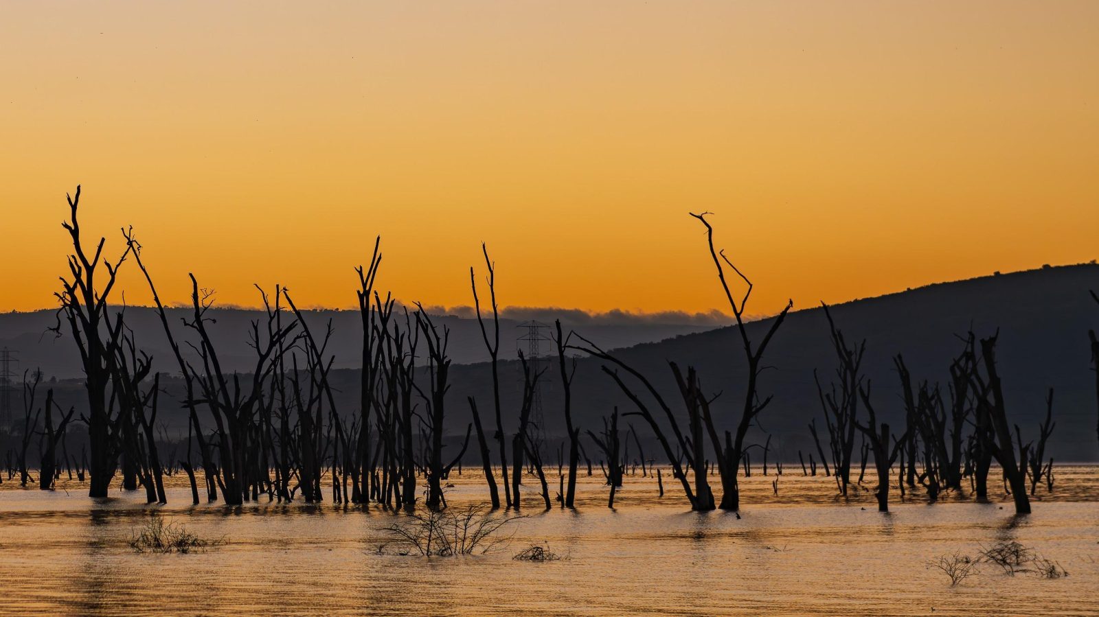 4-Day Maasai Mara & Nakuru Mid-Range Safari gallery image
