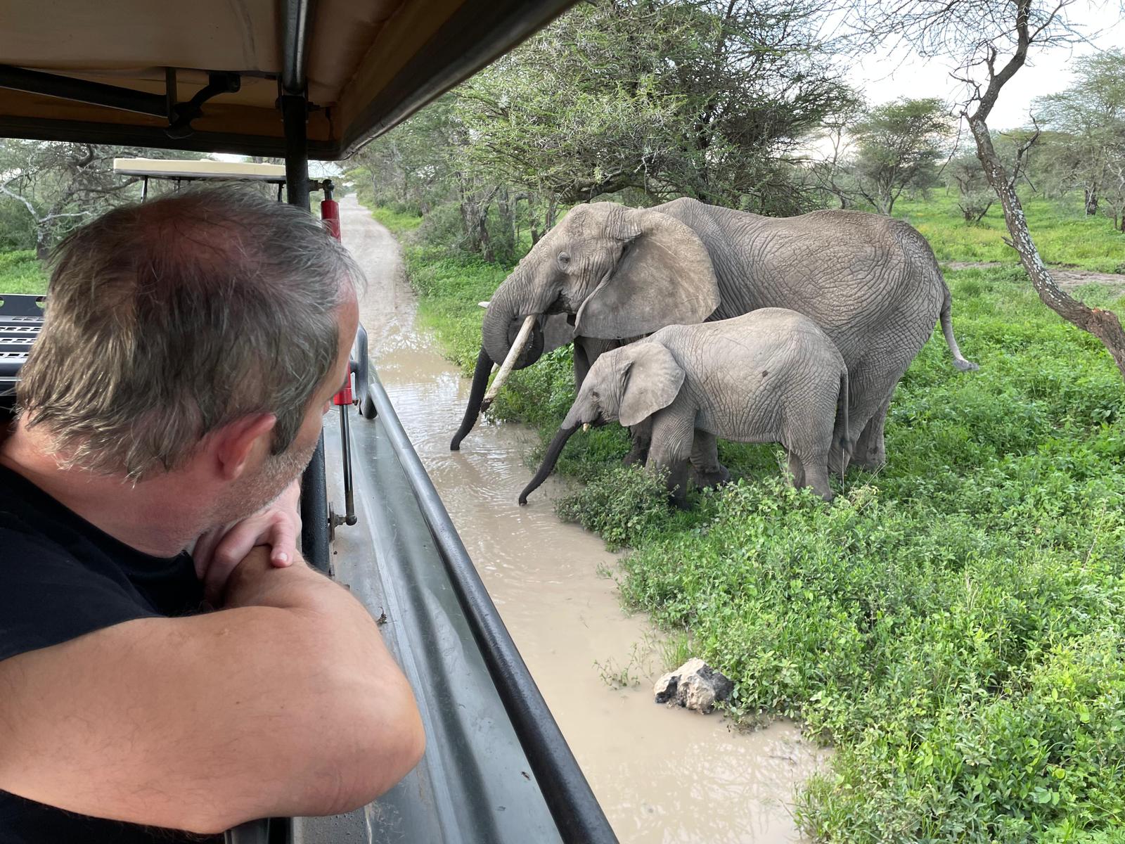 7-Day Serengeti, Ndutu & Ngorongoro Crater Safari — Tanzania gallery image