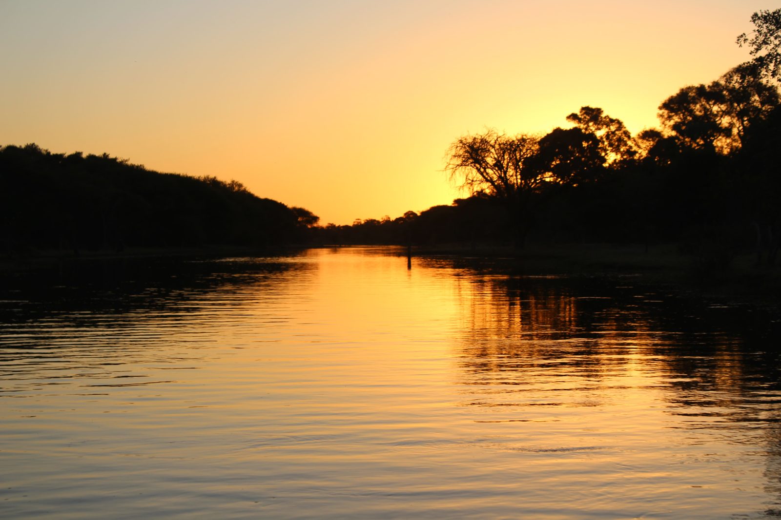 5-Day Savuti, Mababe & Khwai Mobile Camping Safari gallery image