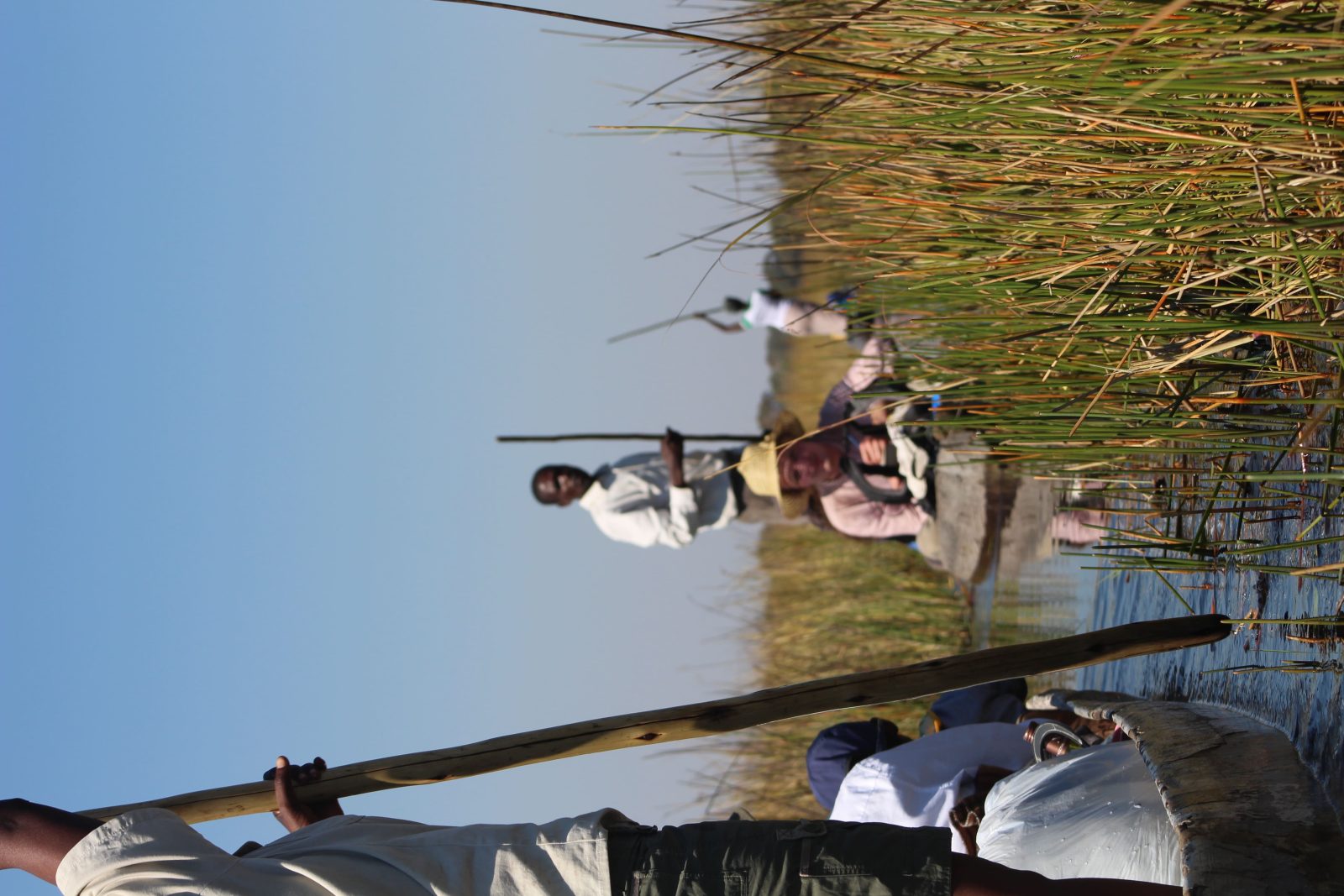 5-Day Okavango Delta & Moremi Mobile Camping Experience gallery image