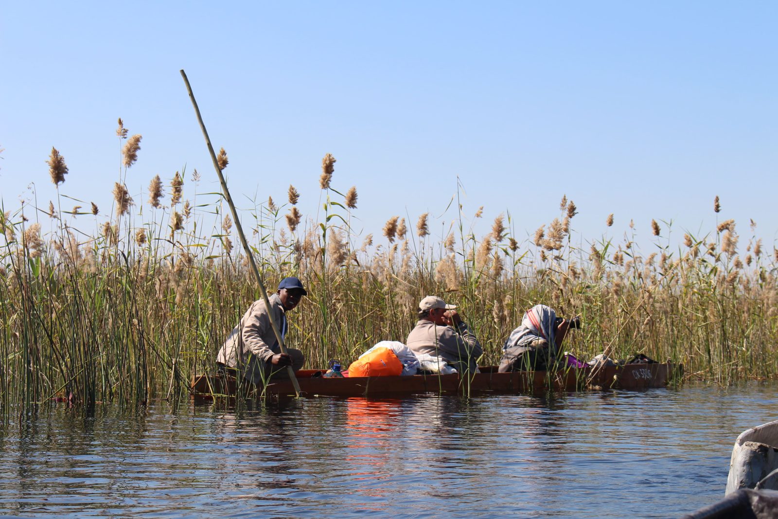 3-Day Okavango Delta Mokoro Stargazing Safari gallery image