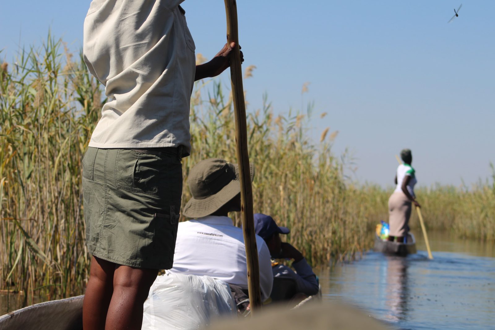 3-Day Okavango Delta Mokoro Stargazing Safari gallery image