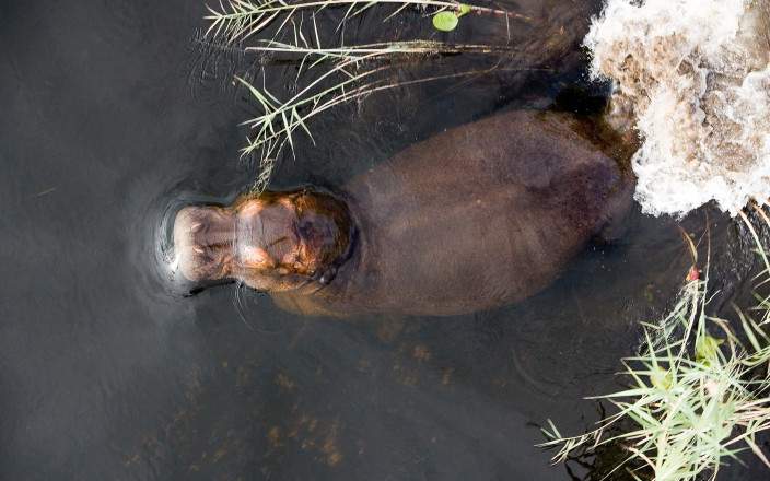 2-Day Okavango Delta Mokoro Camping Safari gallery image