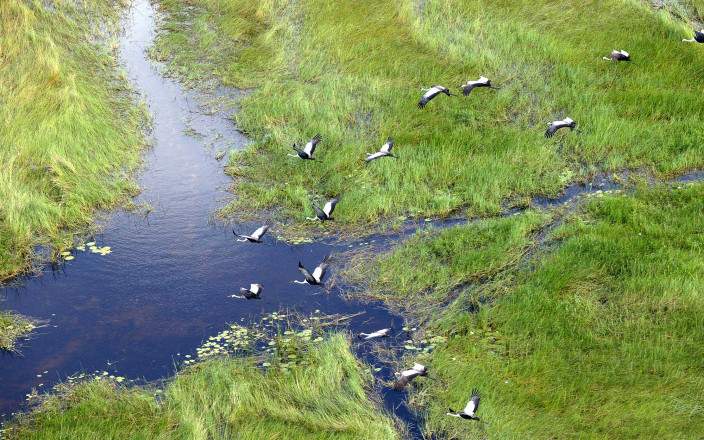 2-Day Okavango Delta Mokoro Camping Safari gallery image