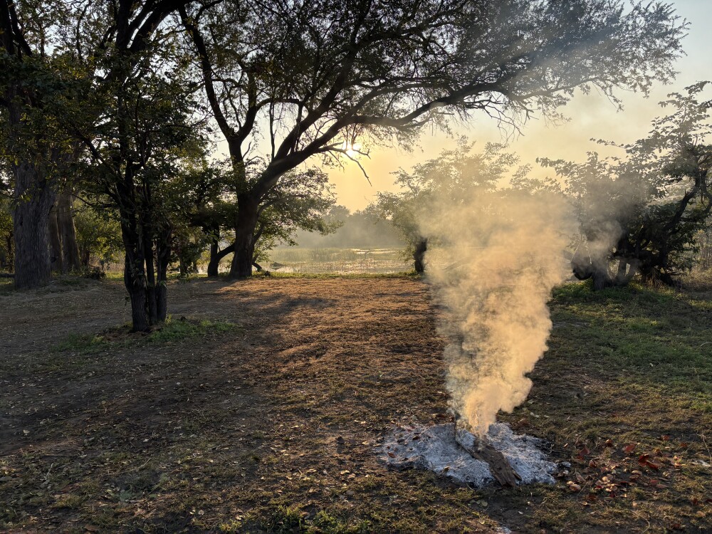 4-Day Okavango Trails - Mokoro Safari in the Okavango Delta gallery image