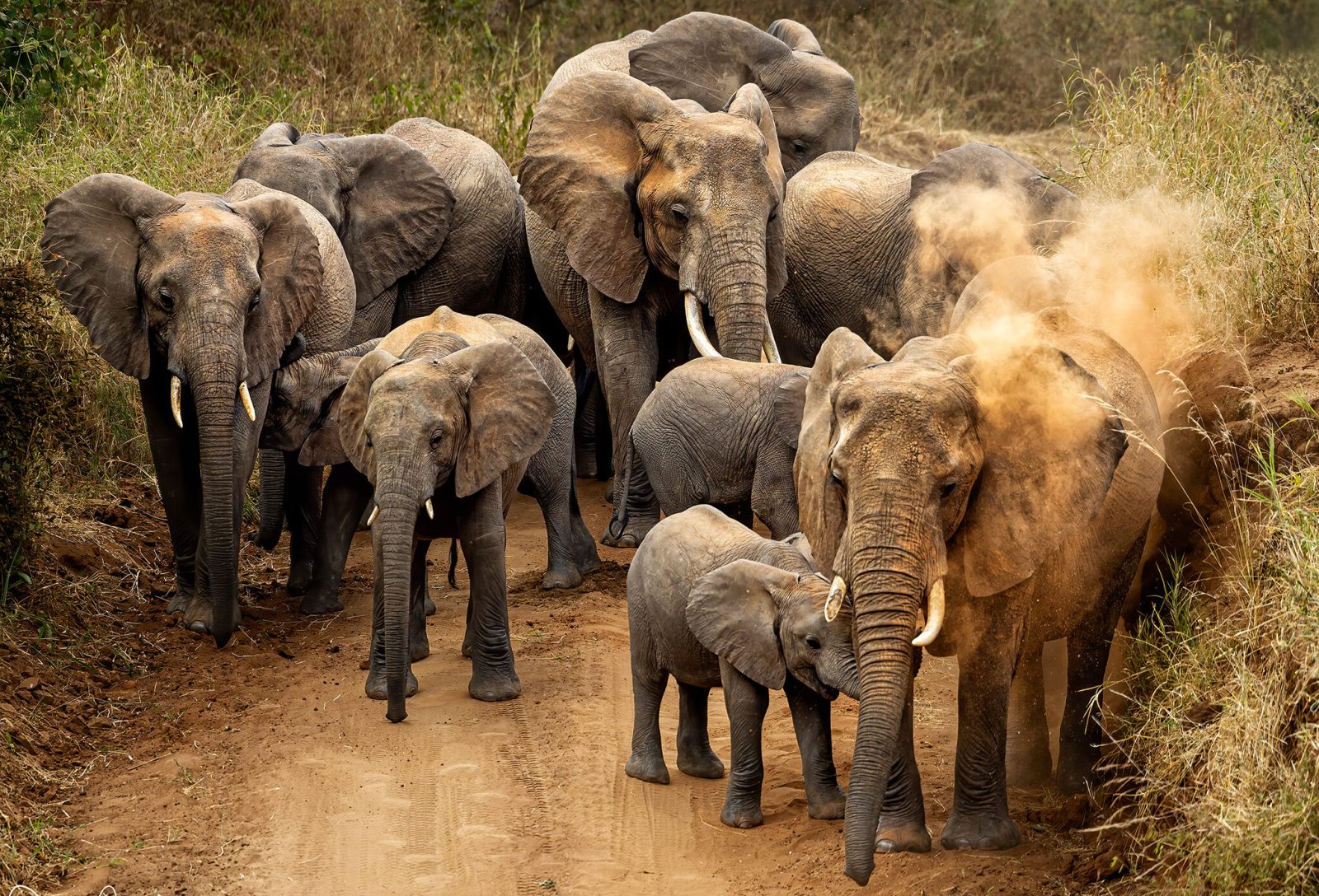 2-Day Ultra Luxury Honeymoon Safari Retreat